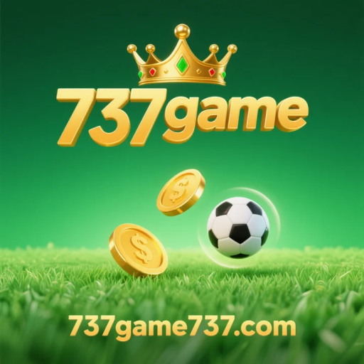 737 game